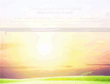 Tablet Screenshot of chinquapinah.com